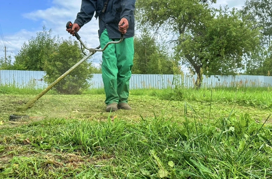 Limpeza e Remoção de Detritos - R&B Espaços Verdes