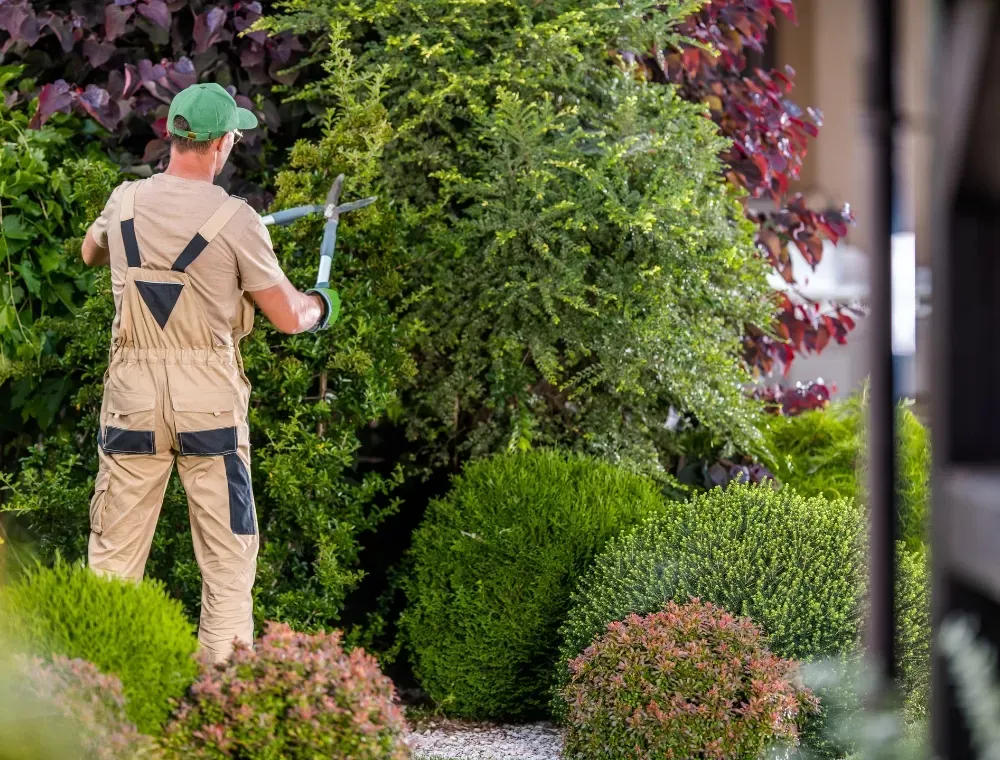 Equipa RB Espaços Verdes — Jardinagem e Espaços Verdes em Lisboa
